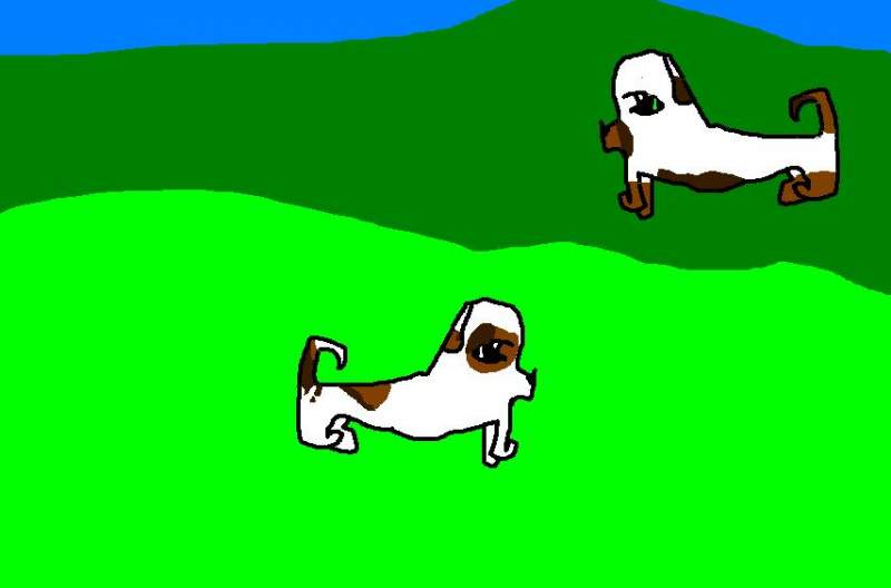 Roxy and her mate (for fearless_dog)