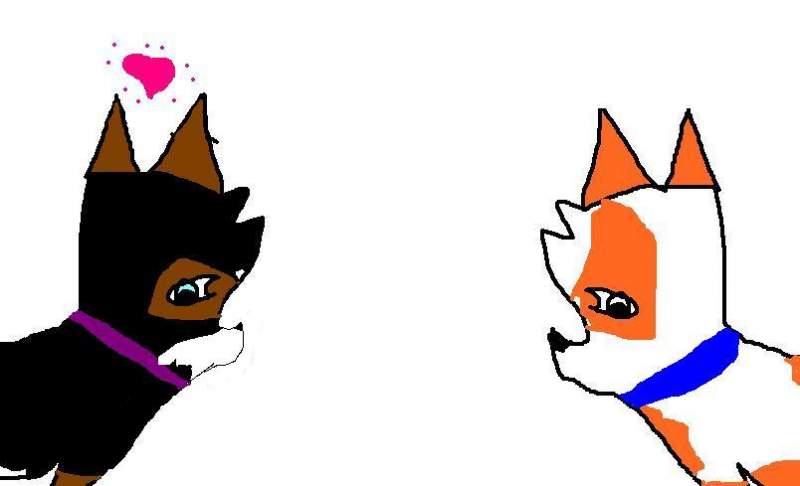 New charries