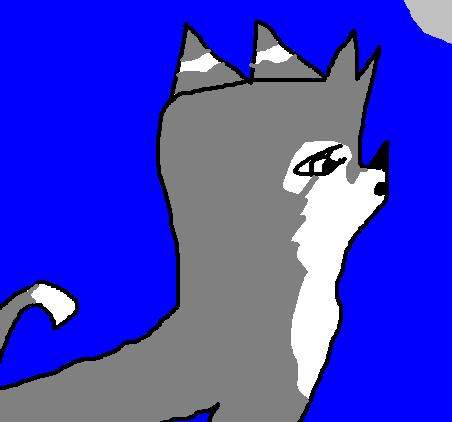 Moon Star is  howling
