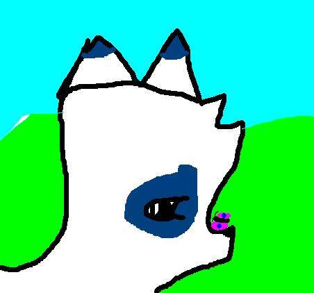 Snowflake has a butterfly on her nose