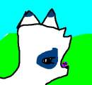 Snowflake has a butterfly on her nose