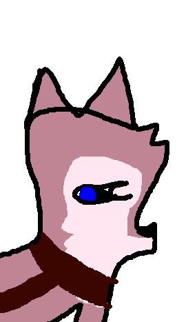 My first pic of dusty!