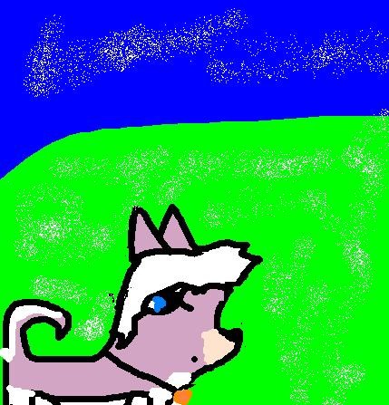 My first pic of Dixe!