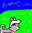 My first pic of Dixe!