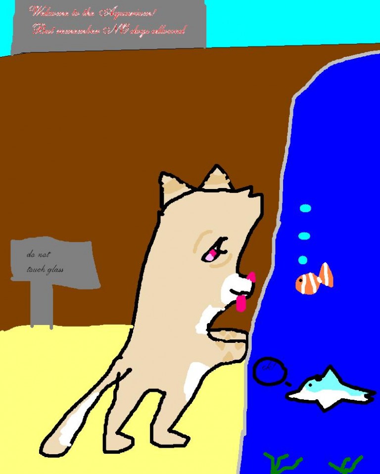 Stacy at the aquarium