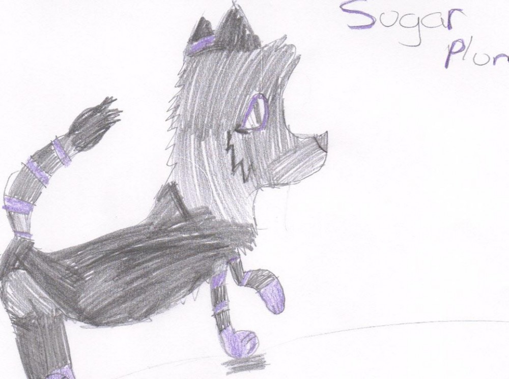 More SugarPlum