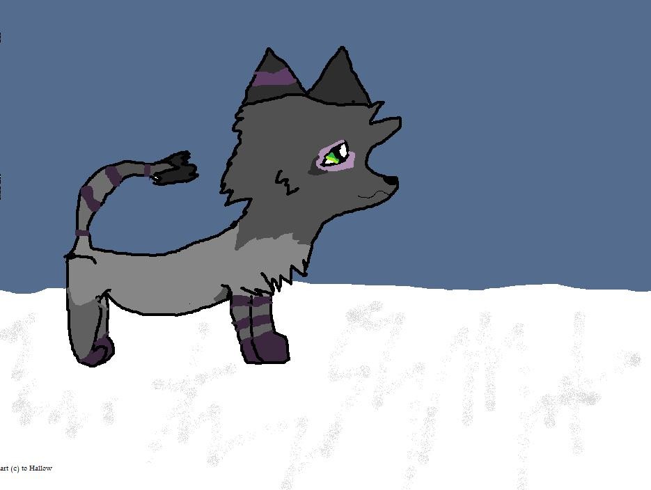 Again it's...SugarPlum!