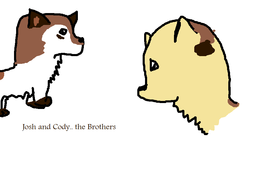 Cody and Josh, the bros