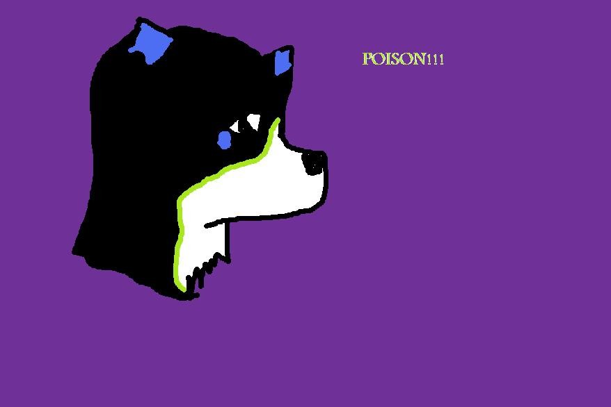 Poison my newest pup