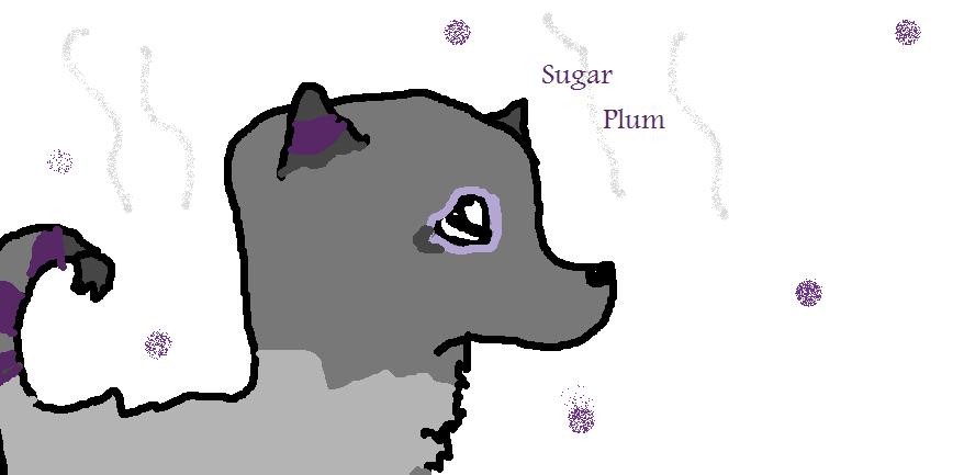 More SugarPlum