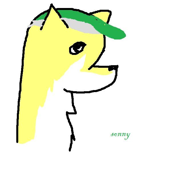 Sunny