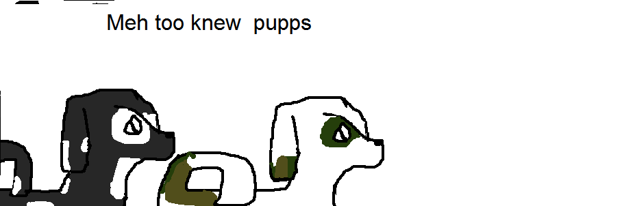 Meh too knew pupps