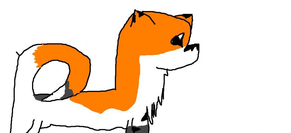 Tiger Fang
