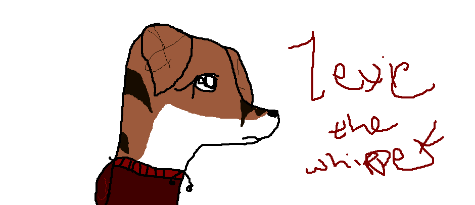 Lexie the Whippet