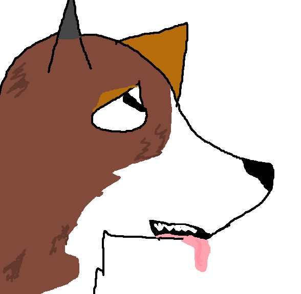 Dallas HeadShot