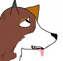 Dallas HeadShot