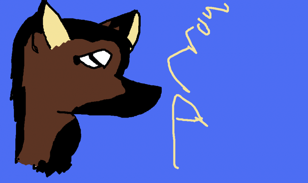 Arrow' new new design