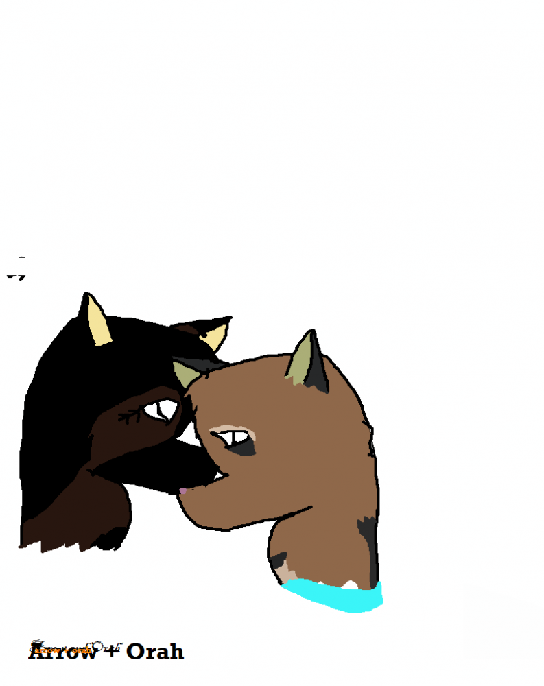 Arrow and Orah