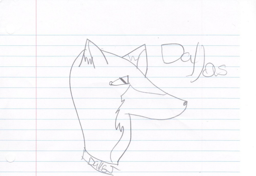 dallas, head shot
