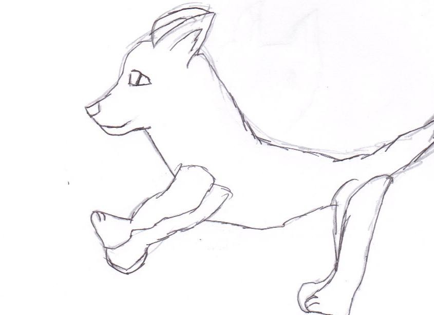 Pretty Puppy =D