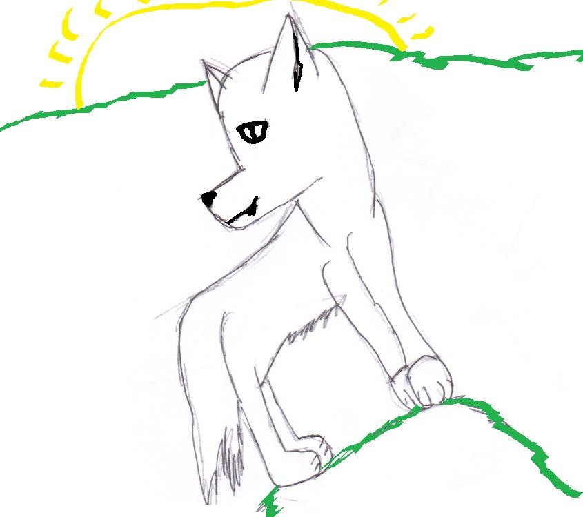 Random doggeh
