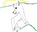 Random doggeh