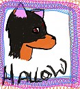 Hallow 