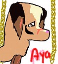 Aya Trade
