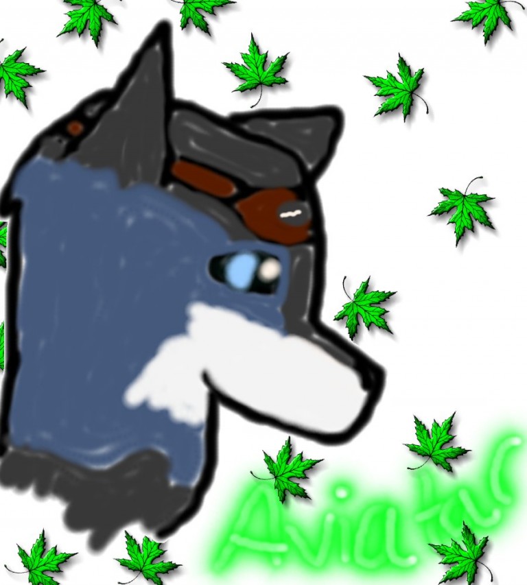 Aviatar