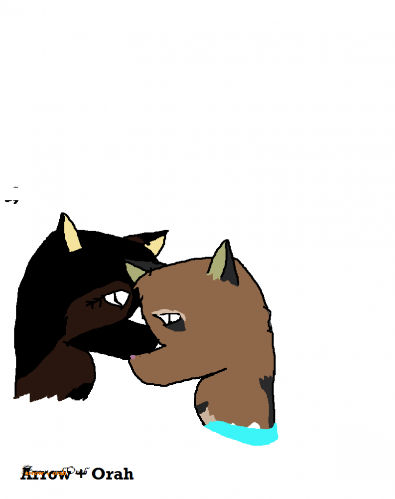 Orah and Arrow