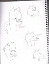 many charecter =D