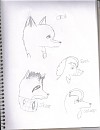 Many More Charecters =O