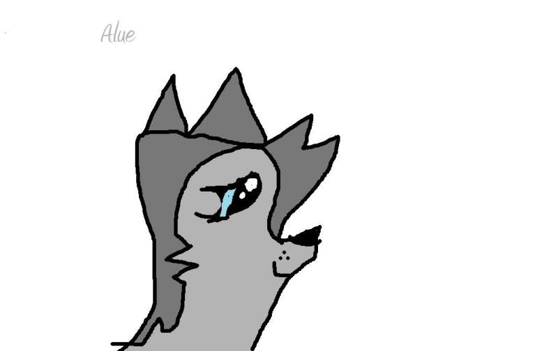 Alue
