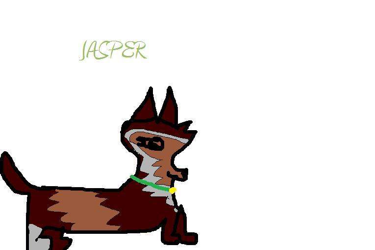 Jasper is back