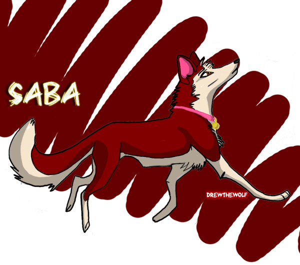 Saba (CatWhoHas14Tails Version) 