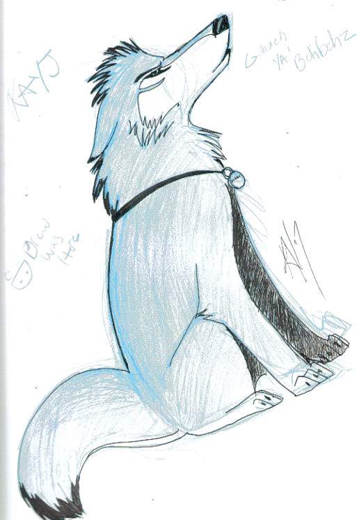 BBA Styled Wolfie? Kinda