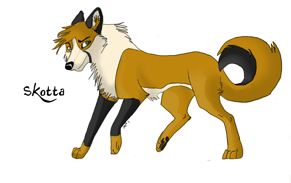 Skotta Commission