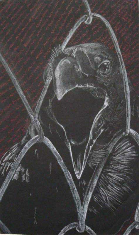 Qouth The Raven