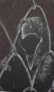 Qouth The Raven