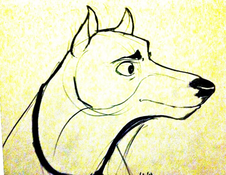 Doberman Mix