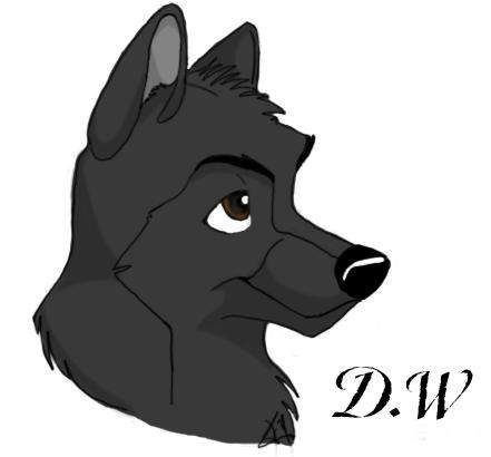 DW Gift
