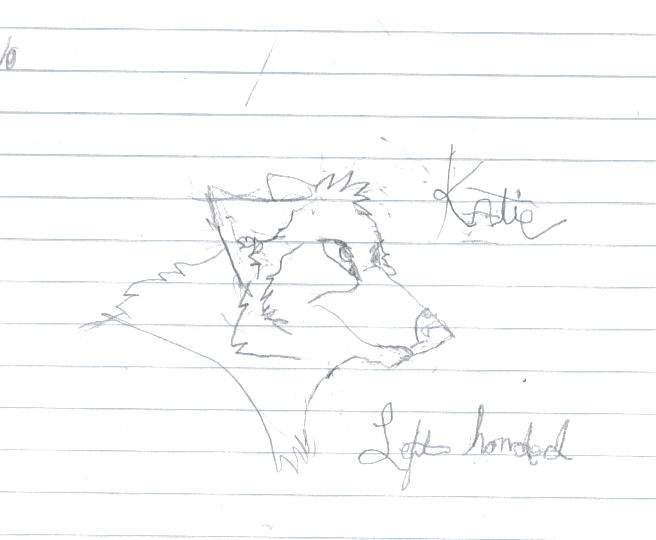 Left Handed Drawing