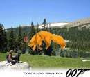Colorado Ninja Fox