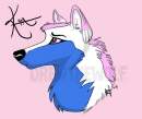 Kia For Sbcbordercollie01