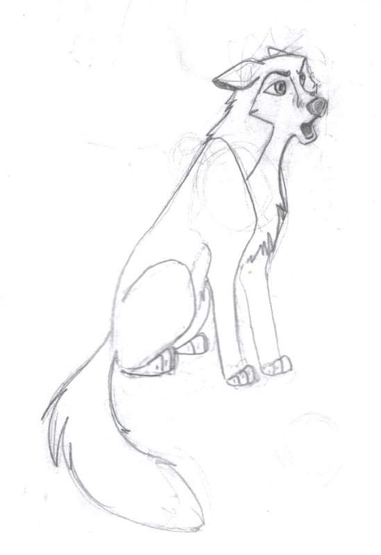 Random dog