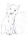 Capote Sly Fox