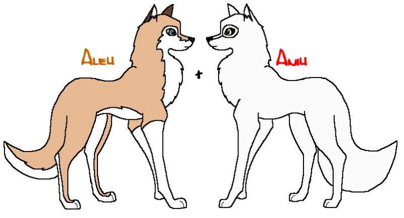 Aniu and Aleu