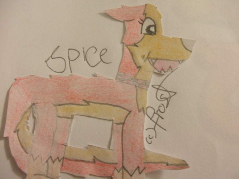 Spice