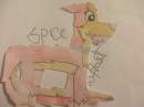 Spice