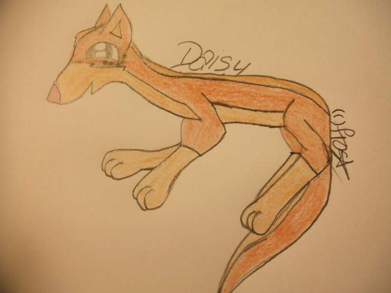DaisyDreamerWolf
